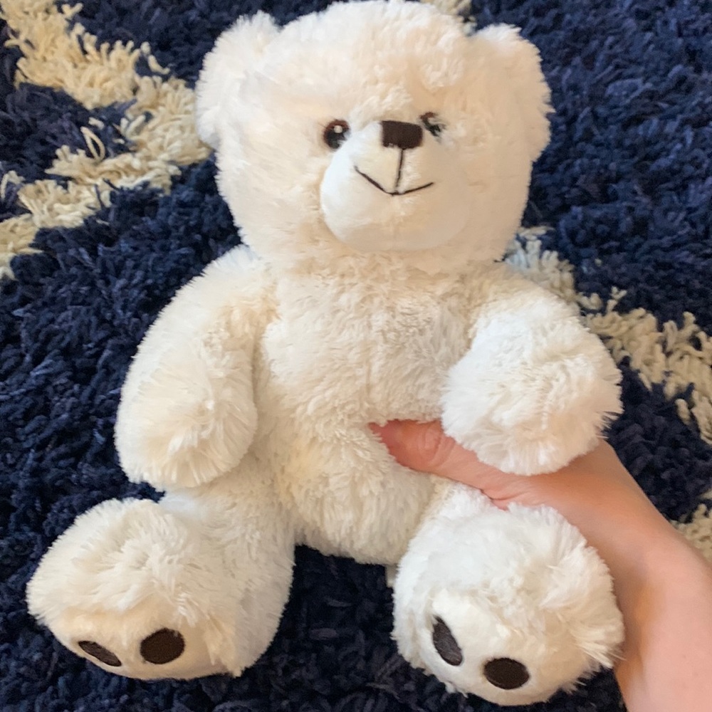 Super soft teddy bear